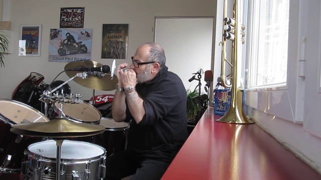 Sleep Walk / Harmonica Lee Oskar in C смотреть онлайн