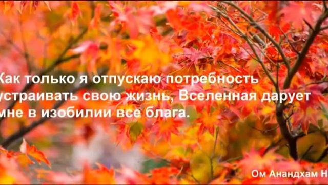 13 День Медитация. Изобилие и закон непривязанности. Дипак Чопра. смотреть онлайн