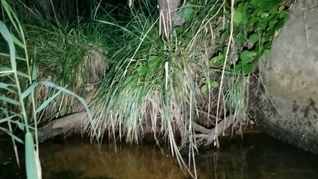 The Future Fate Of The Lake Drain (September 2nd 2020) смотреть онлайн