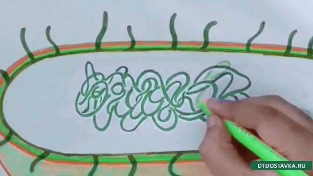 ProBioSpray - универсальное очищающее средство с добавлением пробиотиков смотреть онлайн