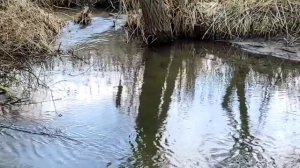 25 апреля - Народный праздник «Василий Парильщик». Что нельзя делать в этот день. Приметы.