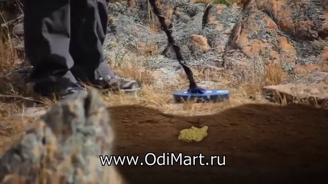 Металлоискатель Minelab Eureka Gold Metal Detector