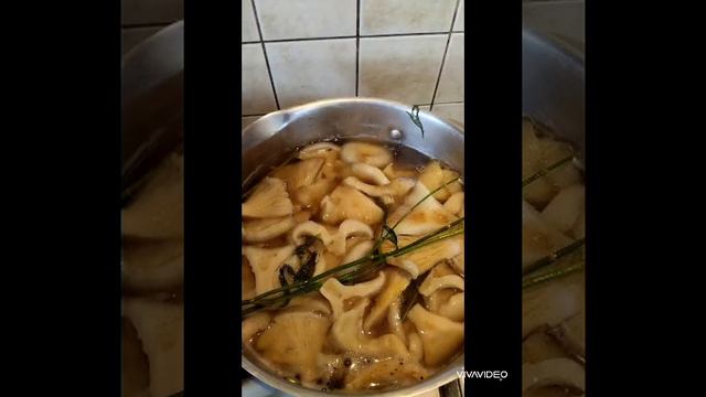 ЛИСИЧКИНА КУХНЯ