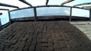 Посадка ОГУРЦОВ в (кубики) ТЕПЛИЦУ!Сорт Артист!