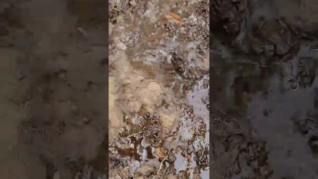 Why doesn't water penetrate my soil? смотреть онлайн