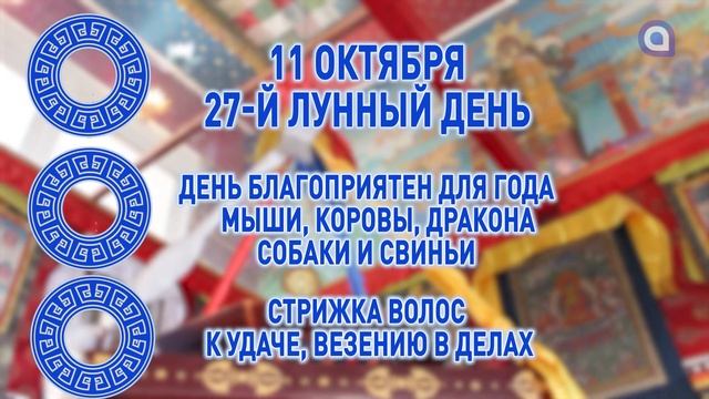 Мыши и Драконы, навестите любимых: зурхай на 11 октября смотреть онлайн