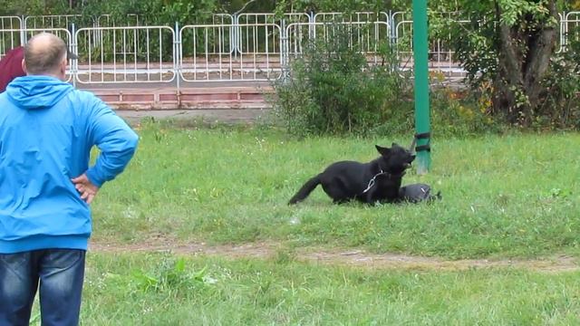 17 09 16 ЧР ЗКС+ОКД  Ольшерия  охрана вещи