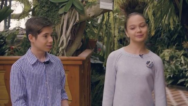 Зачем нужно учиться? Для чего придумали школу? Выпуск 18. смотреть онлайн