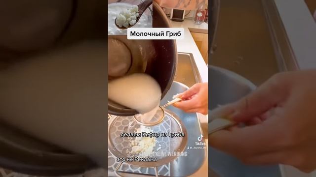 Делаю Кефир из молочного Гриба ! Очень полезный и вкусный кефир! Гриб тибетский! смотреть онлайн