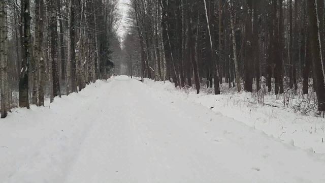 С НАСТУПАЮЩИМ.avi