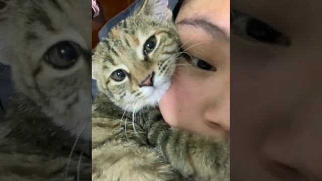 Был изобретён новый вибро массажёр для шеи смотреть онлайн