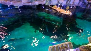 Океанариум изнутри - Обзор океанариума ТЦ Крокус Вегас в Москве ( метро мякинино)