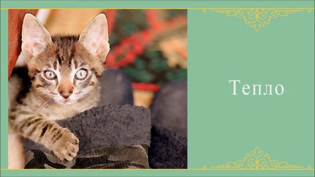 Учимся читать, 5 уровень, занятие 2 - читаем по слогам стихотворение смотреть онлайн