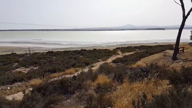 Соленое озеро Ларнаки смотреть онлайн