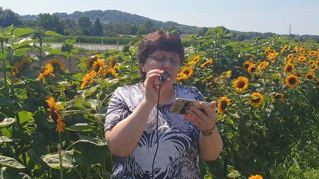 "Посмотри вокруг" - Песня смотреть онлайн