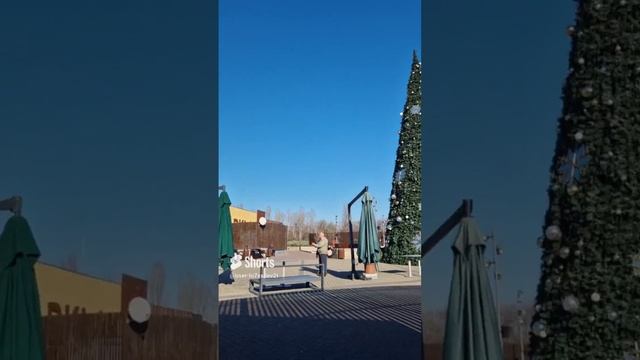 Румыния, Бухарест, новый год, Рождество, новогодняя ёлка