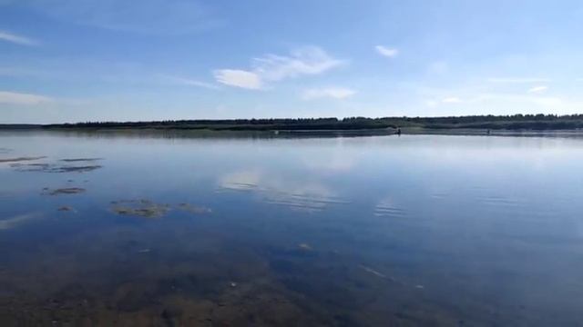 Перовы сделали мой день! //Советский царь и детский педиатр//Обзор влогов// смотреть онлайн