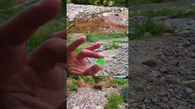 Какие чудеса в природе 51 смотреть онлайн