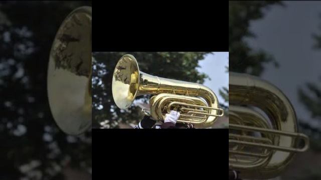 Imagination Canon No. 1 - Tuba Oboe Contrabass смотреть онлайн