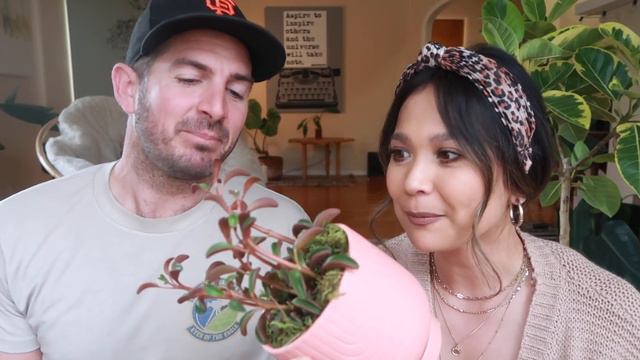 Did We Just Find the Best Plant Deals at Home Depot?! | Home Depot Plants | Plant Haul 2021 смотреть онлайн