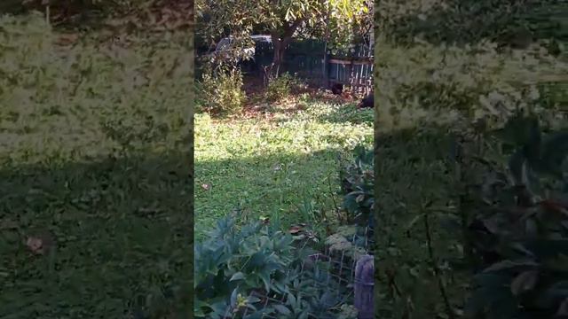 Лайфхак из Села. Подтверждение.