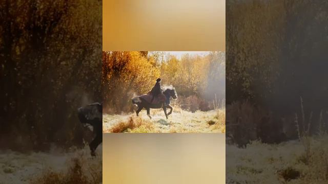 Сказка туманной осени смотреть онлайн