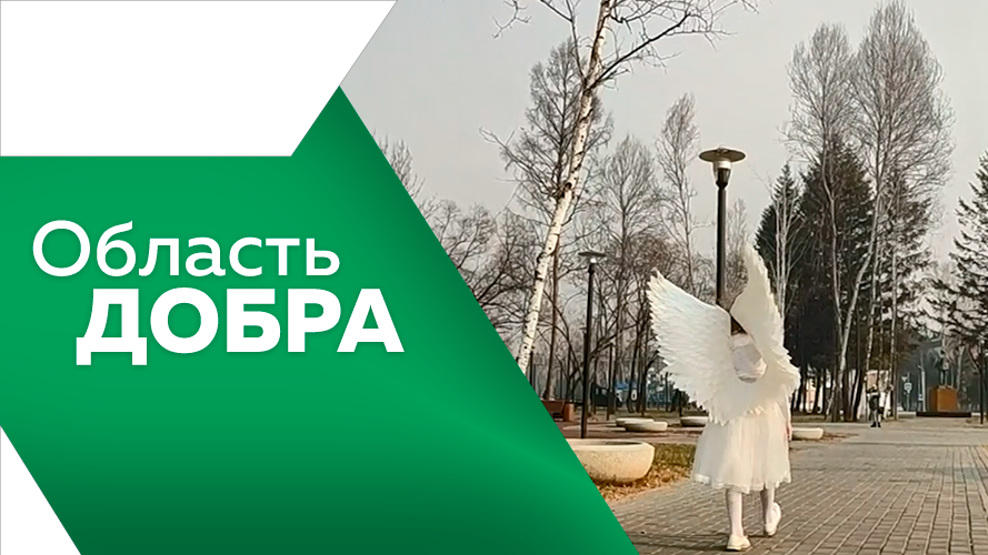 Программа"Область добра №11