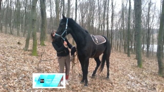 Секреты Профессионального Мастера