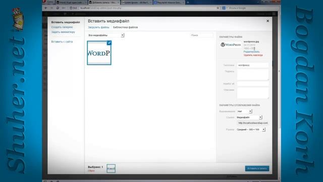 WordPress записи смотреть онлайн