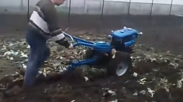 Мотоблок Зубр Кентавр с плугом . смотреть онлайн