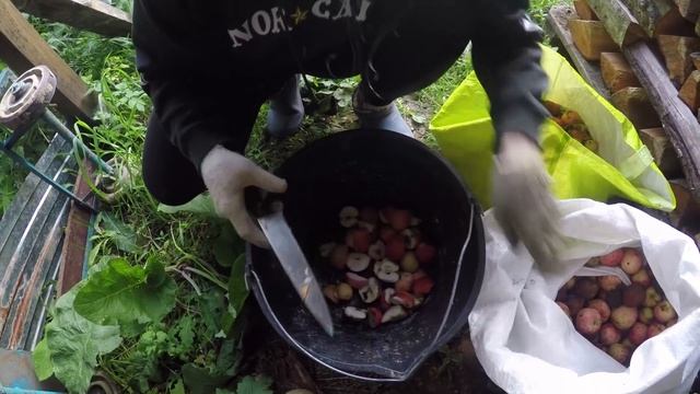Два дня из деревенской жизни. Трактор, тыква гигант и едем на охоту смотреть онлайн