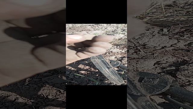 кругляшочек.