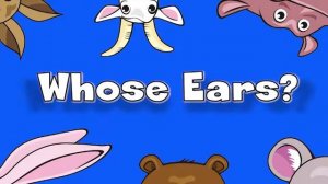 6 1 Whose Ears   Вопросительные слова на Английском языке