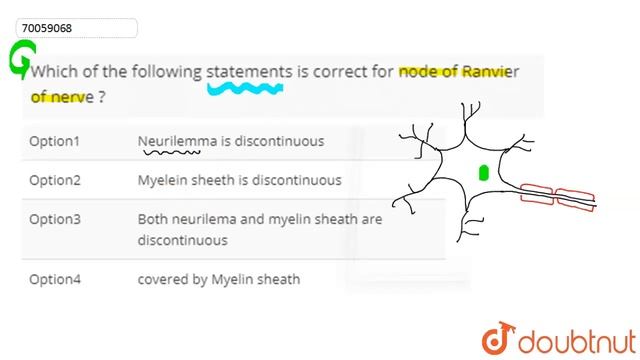 Which of the following statements is correct for node of Ranvier of nerve ? смотреть онлайн