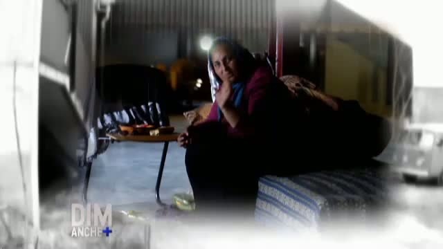 Les Roms Et Dominique VOYNET