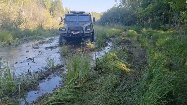 Внедорожник в болоте. ТОЙОТА МЕГА КРУЗЕР 4x4 VS Вездеход БАЙКАЛ 6х6. смотреть онлайн