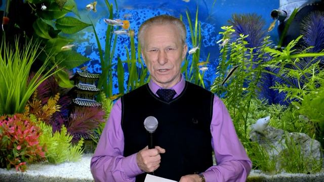 БЫЛА БЫ ТЫ ЧУЖАЯ БАБА....ВАЛЕРИЙ ПЕНТИН КНИГА СБОРНИК 500 АНЕКДОТОВ В СТИХАХ смотреть онлайн