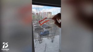 Мастер-класс по оформлению окна к 9 Мая