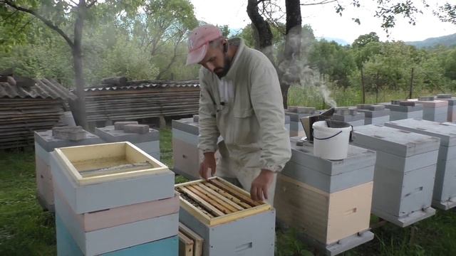 Проверяем качество облёта пчеломаток 27.05.2020 смотреть онлайн
