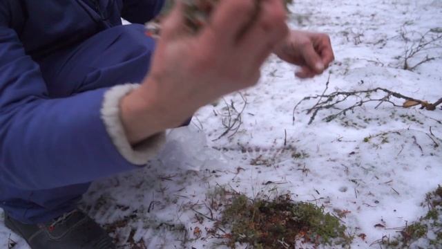 Нашли удивительный исландский мох смотреть онлайн