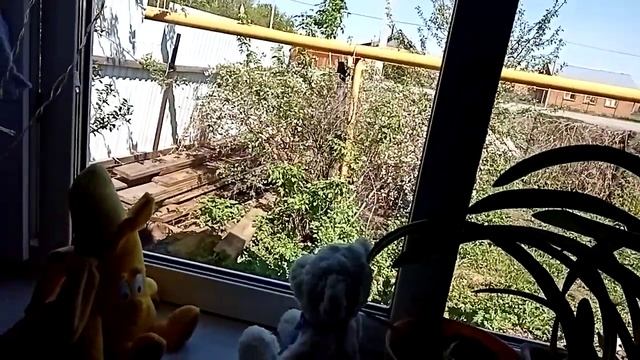 #педагогироссии #Технология"Сказкотерапия"АрыковаВоспитатель смотреть онлайн