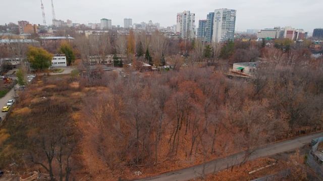 В Самаре на 3-й просеке пилят деревья смотреть онлайн
