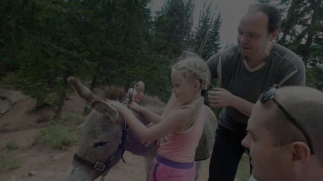 Морской глаз