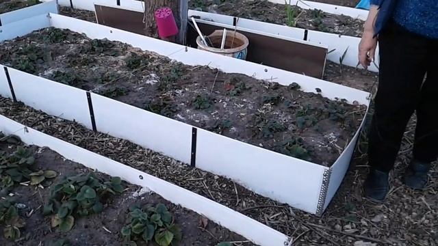 Картофель,посадка в емкости для раннего урожая. смотреть онлайн