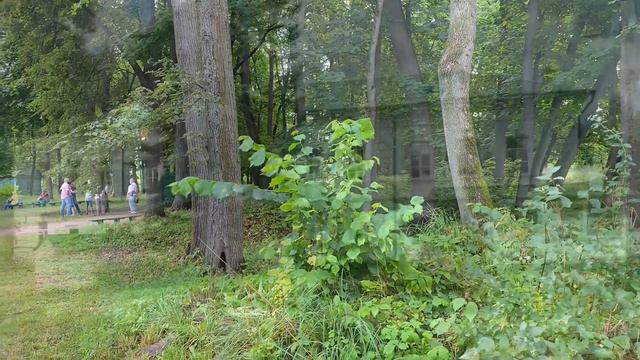 Музей-усадьба Льва Николаевича Толстого «Ясная Поляна» смотреть онлайн