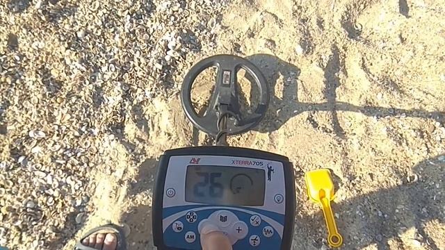 Настройка металлоискателя для поиска золота на морском пляже смотреть онлайн