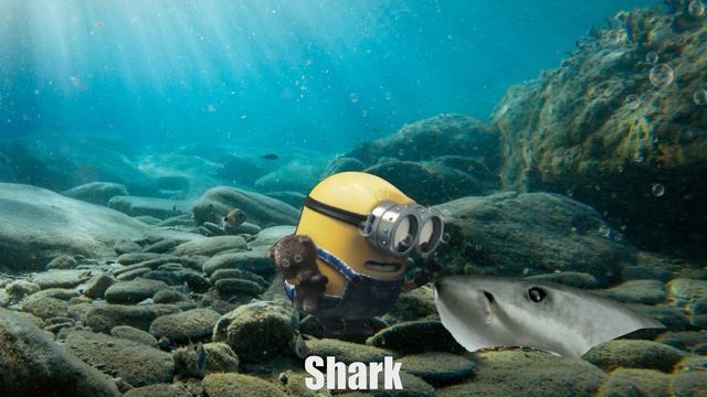 8 Minion Bob ? "OH Le Puchi" ? Sound Variations in 62, Among Us, Minecraft смотреть онлайн