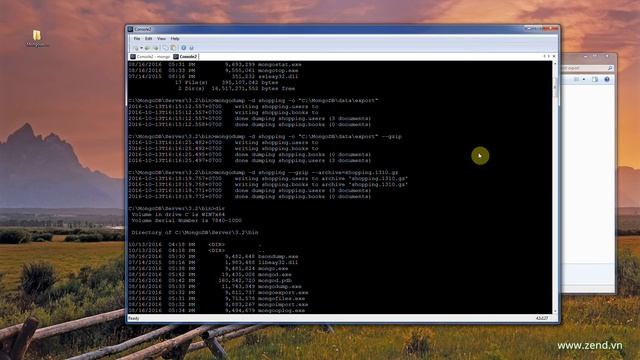 Quản lý Database & Document trong MongoDB (Bài 4.4) смотреть онлайн