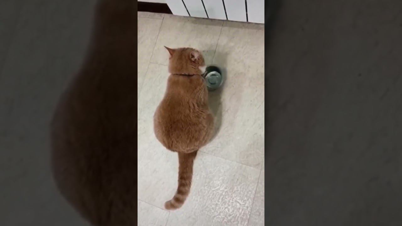 Знакомая мелодия смотреть онлайн