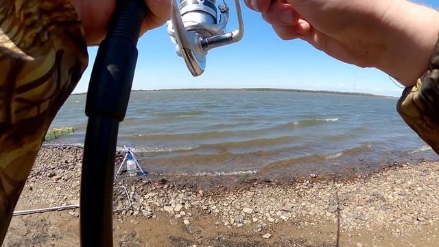 Майская рыбалка на сазана на Амуре. Фидер.